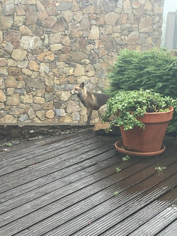 הוילה Gondramaz Patio Do Xisto מראה חיצוני תמונה
